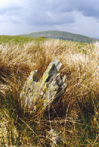Click for full size image of Carreg Wen Fawr Y Rugos Stone Row (PID:56241) Carreg Wen Fawr Y Rugos Stone Row