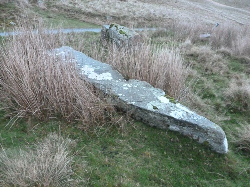 Maen Hir Stone (PID:229754) Maen Hir Stone