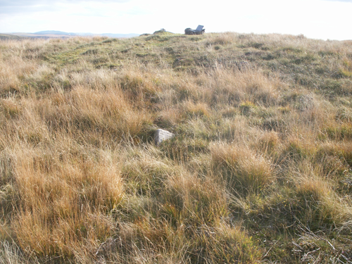 Fan Nedd Cairn (PID:141520) Fan Nedd Cairn