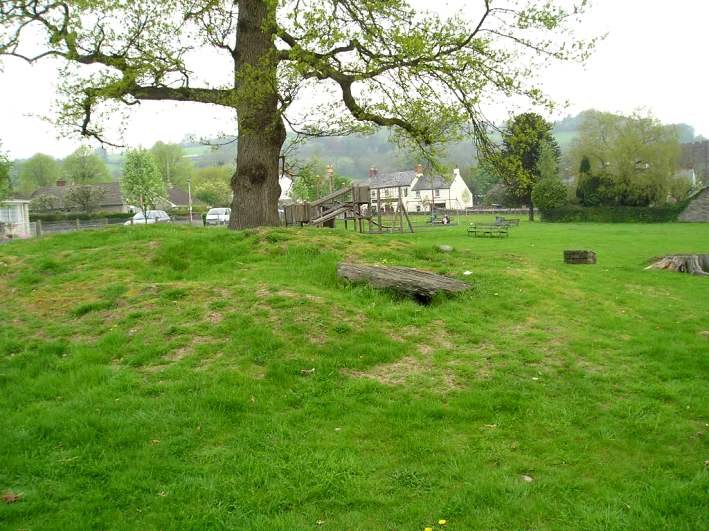 Carn Goch (Powys)