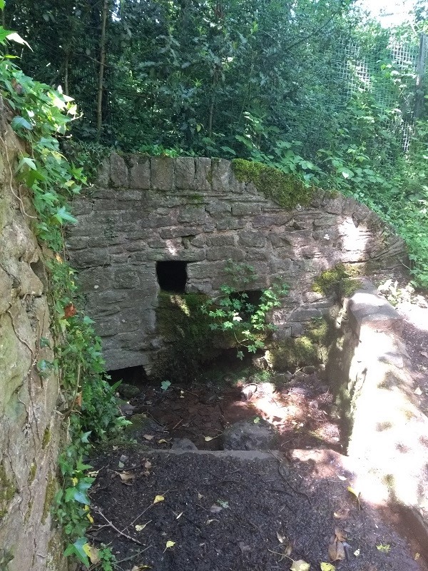 Priory Well (Powys)