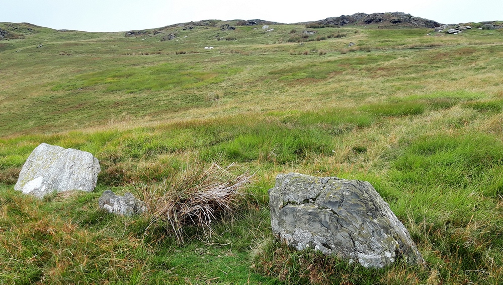 Tre Heslog Stone Row