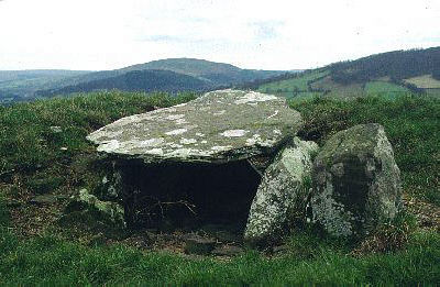 Ty Illtyd Chambered Cairn