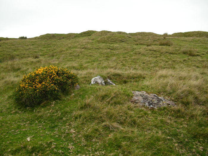 Y Pigwn cairn 1