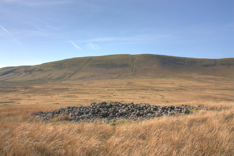 Carnau Cefn-y-Ffordd Ring Cairns