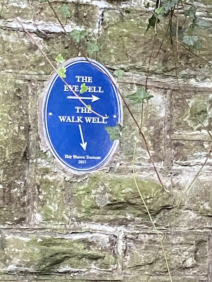 The Walk Well