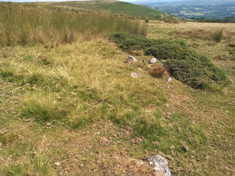 Blaengwynolwyn Uchaf 1, 2, 3