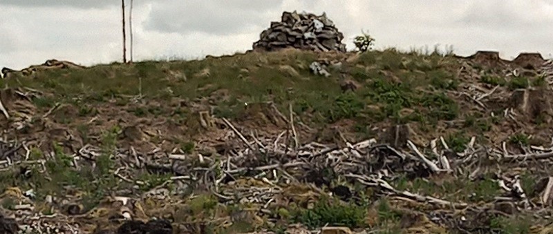 The cairn stands in the middle of the devastation after the clear-fell of the modern, commercial forestry.