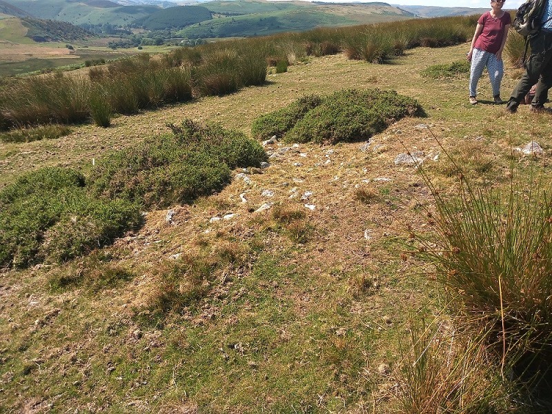 Blaengwynolwyn Uchaf 1, 2, 3