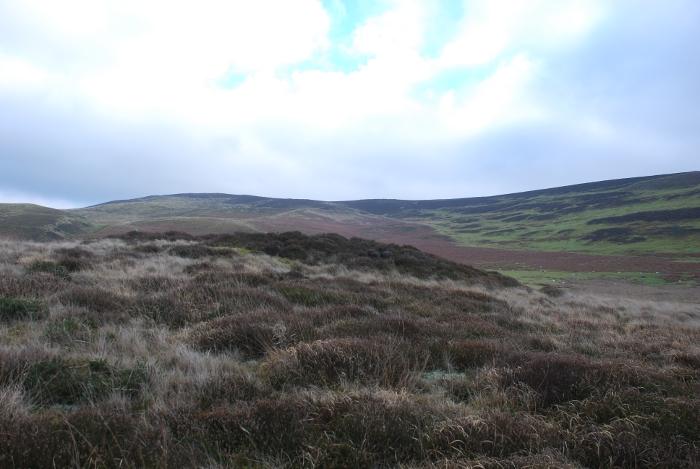 Gilwern Brook Barrows