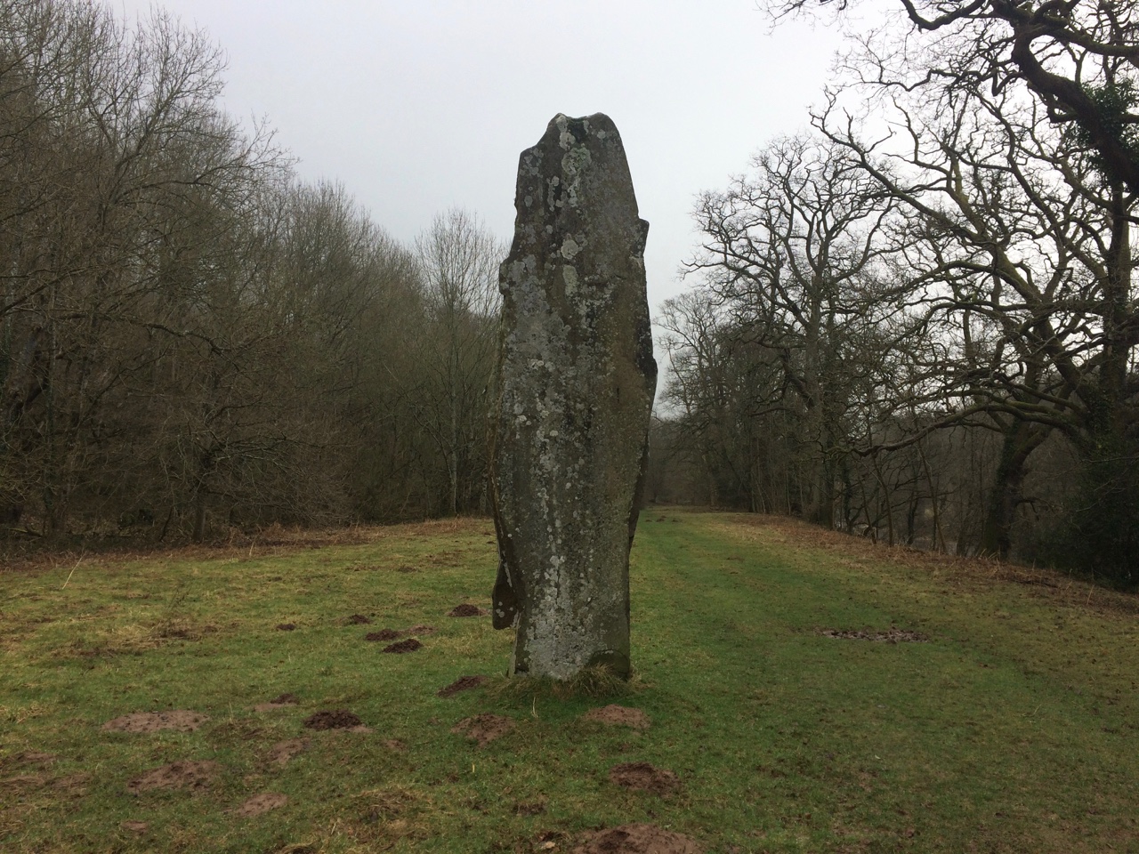 Click for full size image of Penmyarth Fish Stone (PID:177672) Penmyarth Fish Stone