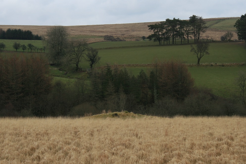 Cwm Henwen cairn