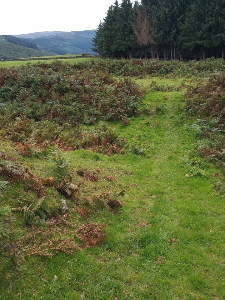 Click for full size image of Tump Wood (PID:215473) Tump Wood