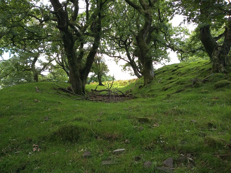 Click for full size image of Tump Wood (PID:215472) Tump Wood
