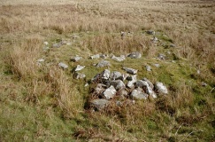 Llyn-y-Tarw Hut Circle - PID:38472