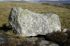 Carreg Cadnow (Fox Rock) - PID:43737