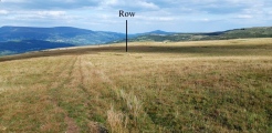 Click for full size image of Carreg Wen Fawr Y Rugos Stone Row (PID:191101) Carreg Wen Fawr Y Rugos Stone Row