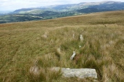 Click for full size image of Carreg Wen Fawr Y Rugos Stone Row (PID:191104) Carreg Wen Fawr Y Rugos Stone Row