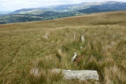 Carreg Wen Fawr Y Rugos Stone Row