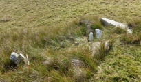 Click for full size image of Carreg Wen Fawr Y Rugos Stone Row (PID:191105) Carreg Wen Fawr Y Rugos Stone Row