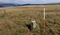 Click for full size image of Carreg Wen Fawr Y Rugos Stone Row (PID:191106) Carreg Wen Fawr Y Rugos Stone Row