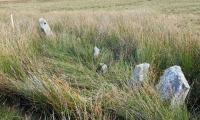Click for full size image of Carreg Wen Fawr Y Rugos Stone Row (PID:191102) Carreg Wen Fawr Y Rugos Stone Row