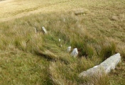 Click for full size image of Carreg Wen Fawr Y Rugos Stone Row (PID:191103) Carreg Wen Fawr Y Rugos Stone Row