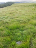 Rhos y Gelynen Stones - PID:42425