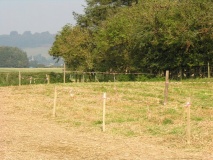 Hindwell Farm 1 - PID:42814
