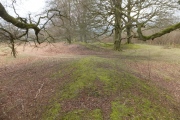 Click for full size image of Castle Ring (Powys) (PID:118285) Castle Ring (Powys)