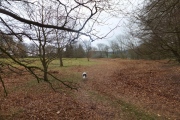 Castle Ring (Powys)