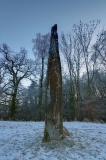 Penmyarth - PID:71380