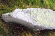 Click for full size image of Carreg Wen Fawr Y Rugos Stone Row (PID:56246) Carreg Wen Fawr Y Rugos Stone Row