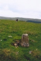 Click for full size image of Carreg Wen Fawr Y Rugos Stone Row (PID:56307) Carreg Wen Fawr Y Rugos Stone Row