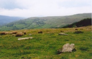Click for full size image of Carreg Wen Fawr Y Rugos Stone Row (PID:56310) Carreg Wen Fawr Y Rugos Stone Row