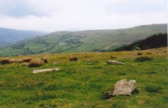 Carreg Wen Fawr Y Rugos Stone Row