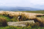 Click for full size image of Carreg Wen Fawr Y Rugos Stone Row (PID:56237) Carreg Wen Fawr Y Rugos Stone Row