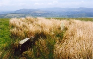 Click for full size image of Carreg Wen Fawr Y Rugos Stone Row (PID:56238) Carreg Wen Fawr Y Rugos Stone Row