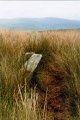 Click for full size image of Carreg Wen Fawr Y Rugos Stone Row (PID:56239) Carreg Wen Fawr Y Rugos Stone Row