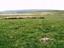 Carreg Wen Fawr Y Rugos Cairns - PID:56288