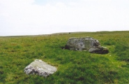 Click for full size image of Carreg Wen Fawr Y Rugos Stone Row (PID:56290) Carreg Wen Fawr Y Rugos Stone Row