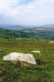 Click for full size image of Carreg Wen Fawr Y Rugos Stone Row (PID:56291) Carreg Wen Fawr Y Rugos Stone Row