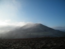 Mynydd Troed - PID:54282