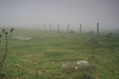 Gelli Hill Circle - PID:98823