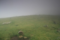 Gelli Hill Circle - PID:98822
