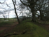 Castle Ring (Powys)