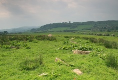 Rhos-Maen - PID:98123