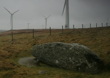 Careg Lwyd - PID:97299