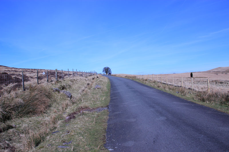 Click for full size image of Llech Llia recumbent monolith. (PID:86948) Llech Llia recumbent monolith.