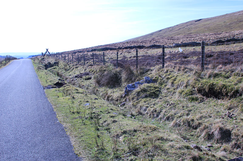 Click for full size image of Llech Llia Recumbent Monolith (PID:86945) Llech Llia Recumbent Monolith